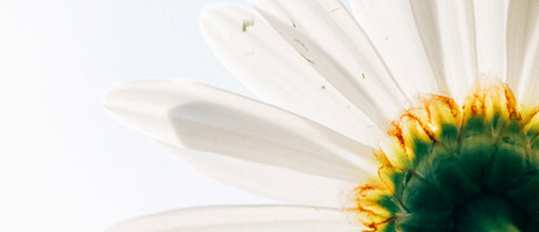 MG冰球突破(中国游)官方网站