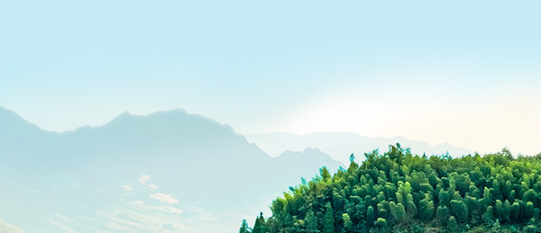 MG冰球突破(中国游)官方网站