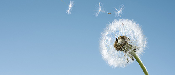 MG冰球突破(中国游)官方网站